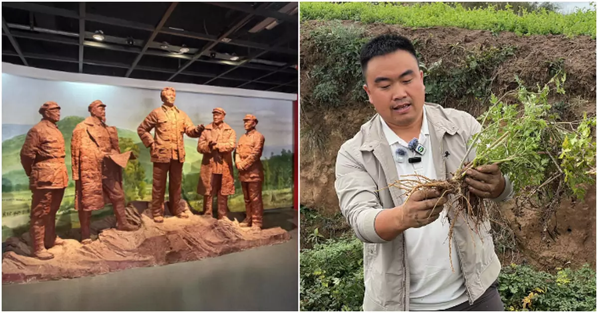 粵港澳媒體陝甘行走進長征決策地哈達鋪   看準港人「煲湯文化」甘肅中藥材進軍港澳　