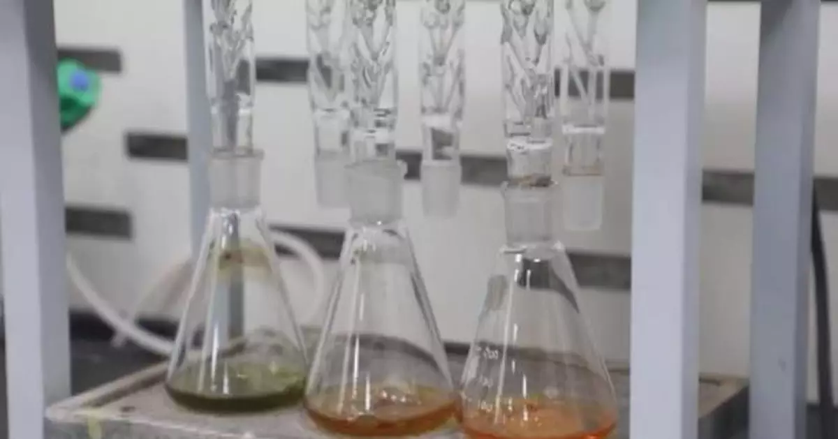 中國率先大規模轉化廢棄食油為可持續航空燃料