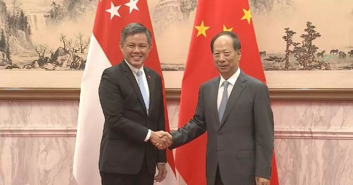 石泰峰會見新加坡公共服務統籌部長兼國防部長陳振聲
