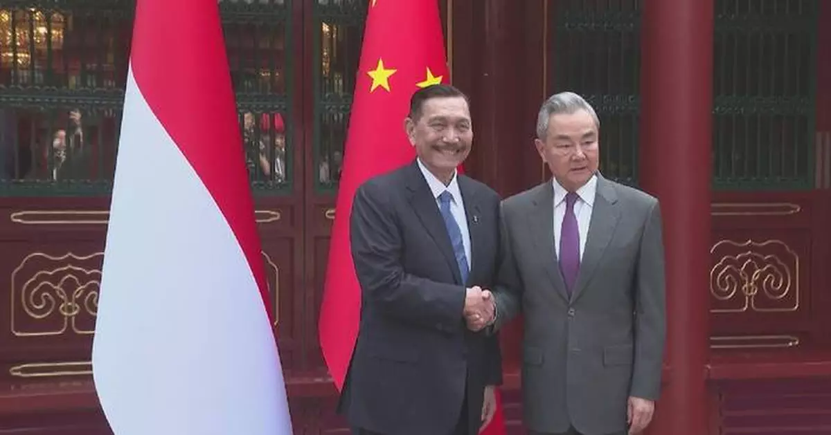 中國外交部長王毅會見印尼國家經濟委員會主席盧胡特
