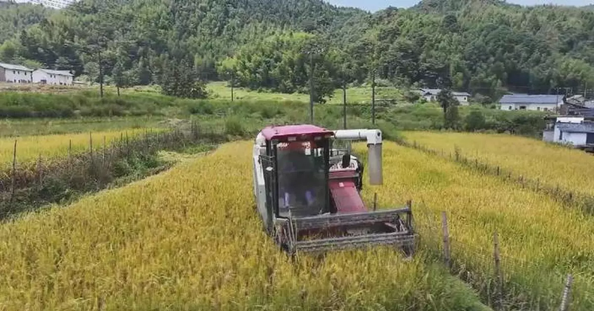 科技助力中國秋收 料再迎豐收