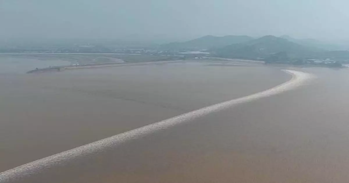 浙江錢塘江潮水吸引遊客觀賞