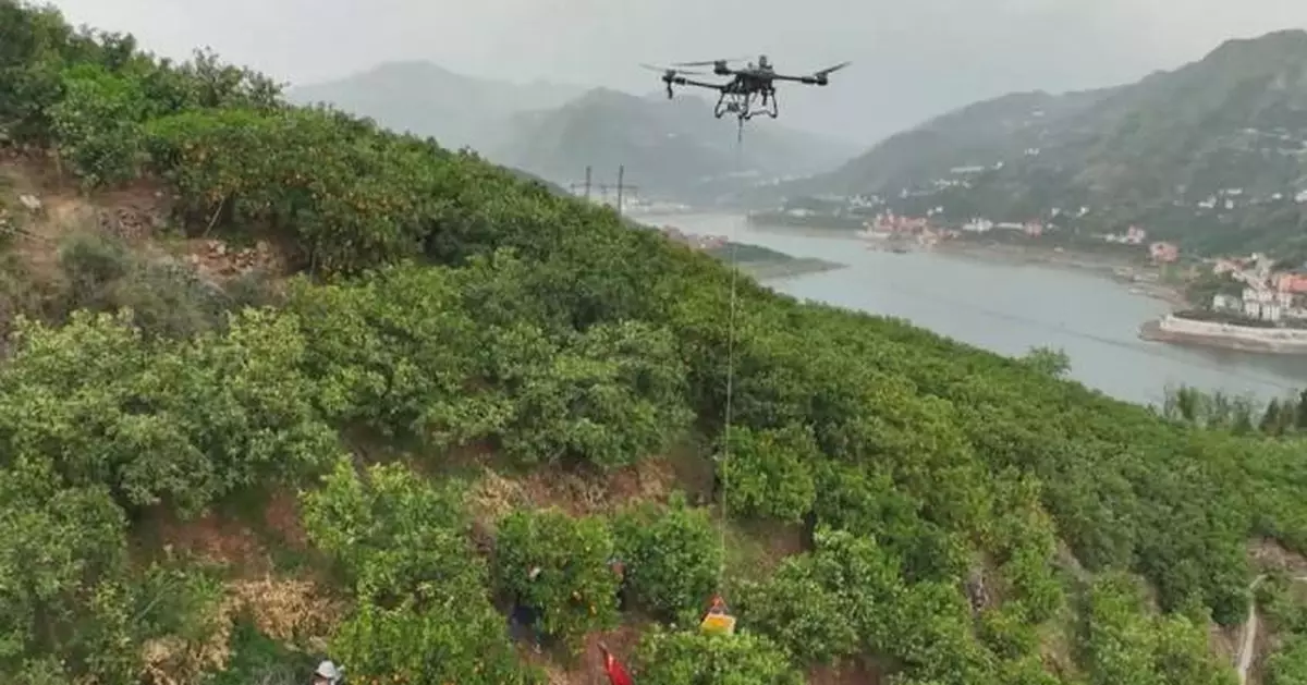 中國低空經濟起飛 無人機操作員成鄉村青年熱門職業