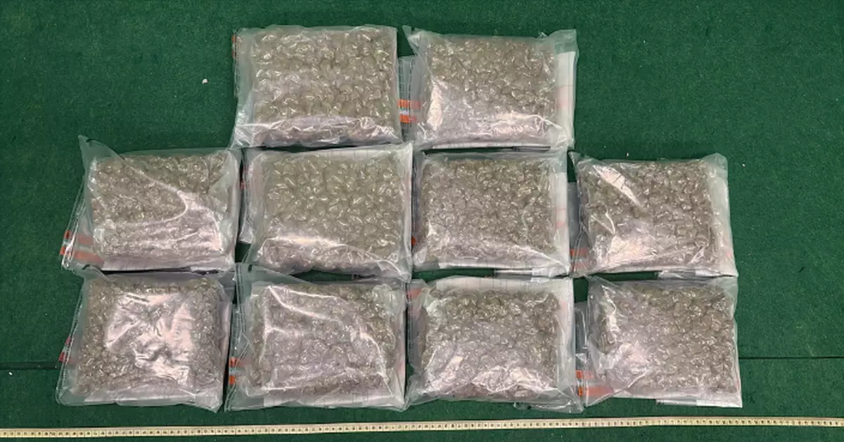 ​兩內地客泰國抵港行李藏9.8公斤懷疑大麻花 被控販毒10.13提堂