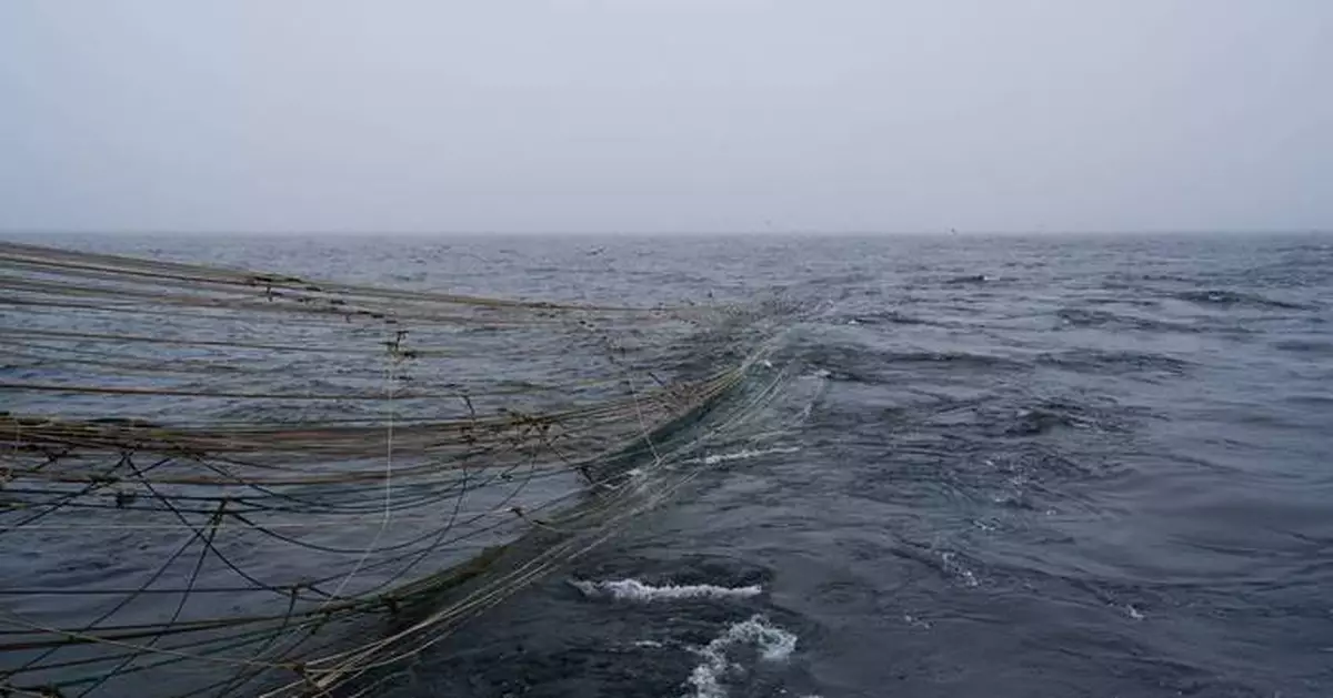 拖網捕魚效率高破壞海床生態 誤捕非目標生物加劇全球暖化