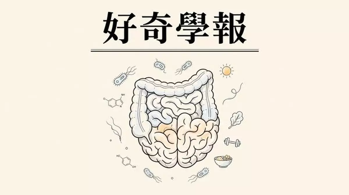 你的快樂，可能住在這個器官內—被低估的「第二大腦」