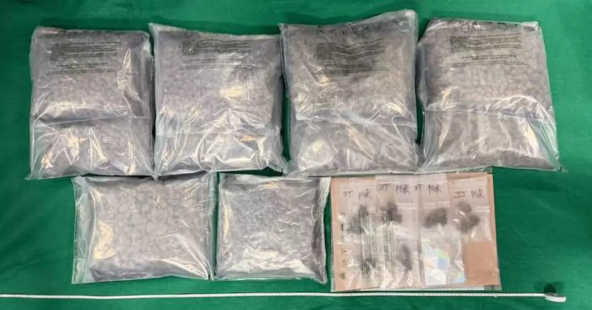 海關機場偵破入境旅客販毒案 檢五公斤懷疑大麻花兩內地男被控販毒