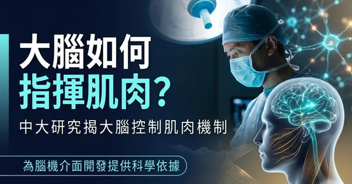 中大最新研究揭大腦控制肌肉機制 為腦機介面開發提供科學依據