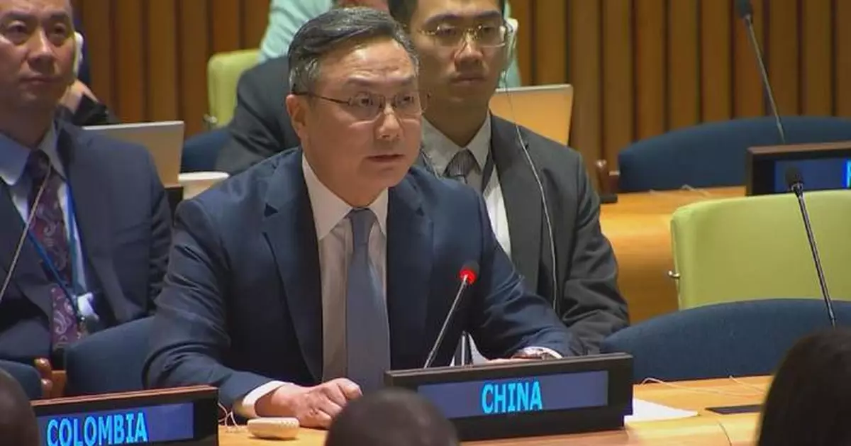 中國常駐聯合國副代表：主權平等是現代國際關係基石