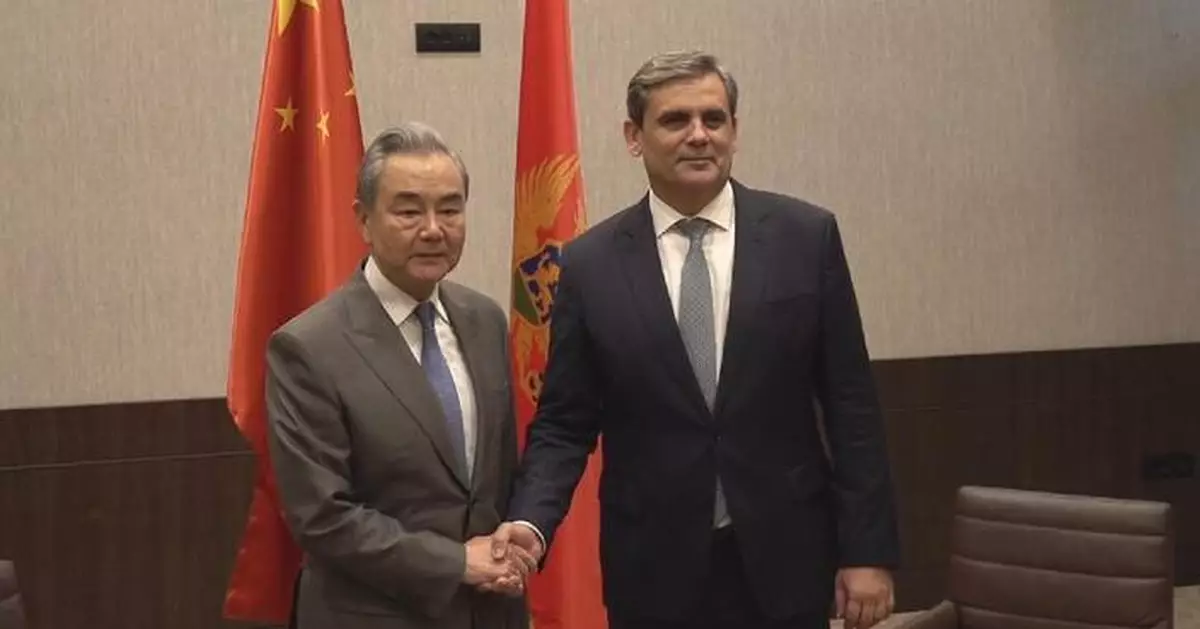 黑山中國外長王毅會談