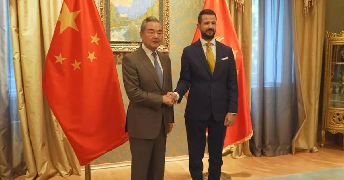 黑山總統會見中國外長王毅 冀深化兩國友好合作