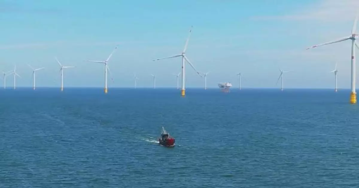 中國海洋經濟2025年創新高 綠色能源科技創新帶動增長