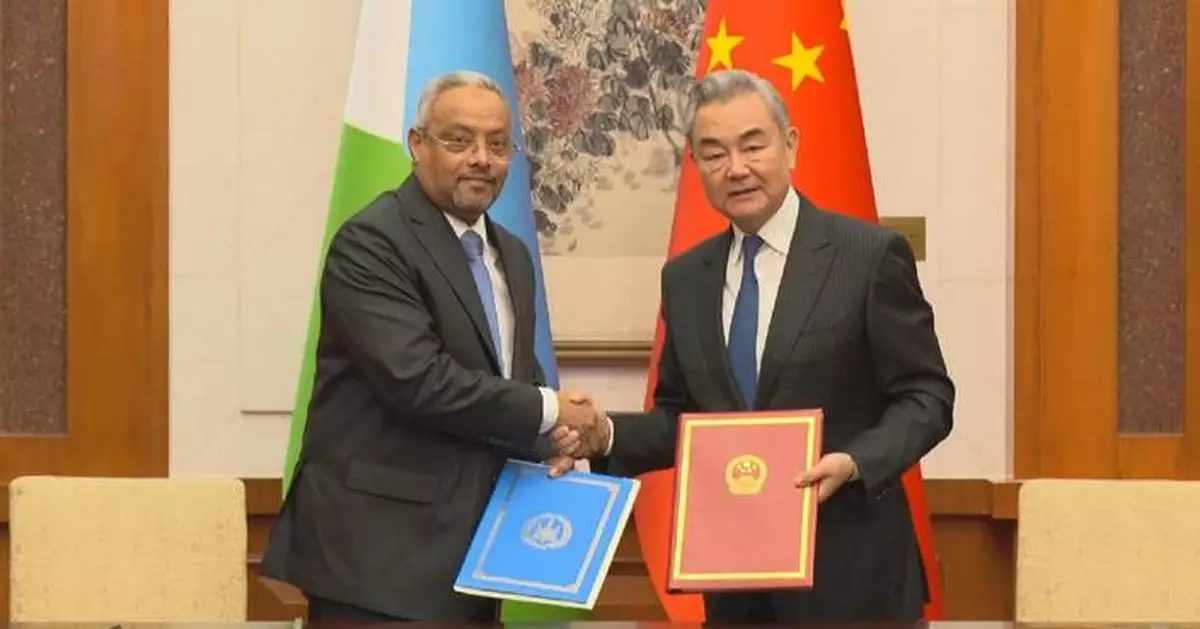 中國外長會見吉布提外長