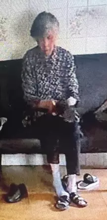 84歲女子張玉瓊沙田失蹤。警方提供