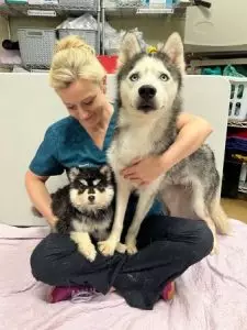 FB圖@Kentucky Humane Society