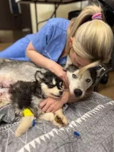 FB圖@Kentucky Humane Society
