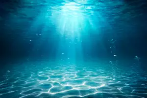Ocean