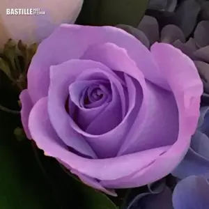 開羅