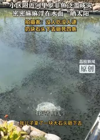 溫州河道因氣溫驟降出現奇景。影片截圖