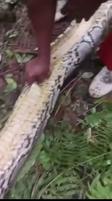 影片截圖