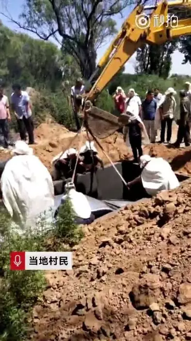 網上圖片