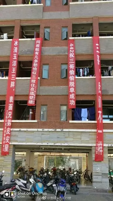 網上圖片