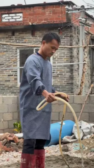 亦很有功架。