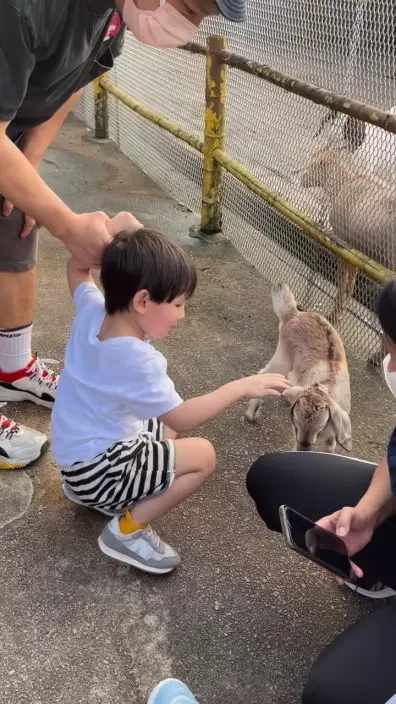 去年11月一家五口連工人姐姐遊農場,親親小動物。