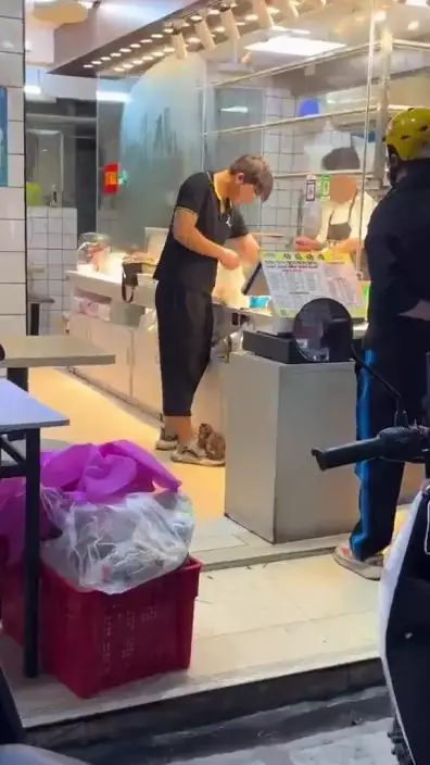 網上流傳一段BB貓店長黏人短片。網上截圖