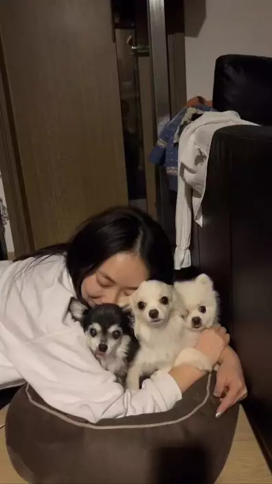 家中有三隻狗狗，其中一隻早前患病。