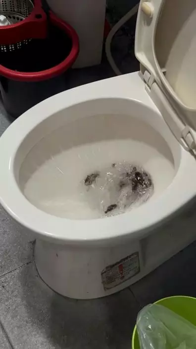 影片截圖