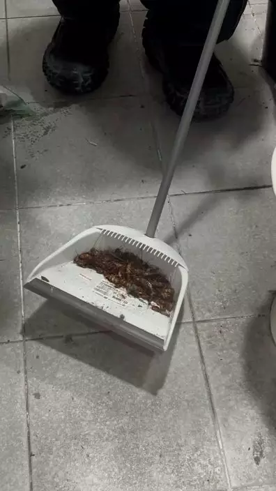 影片截圖