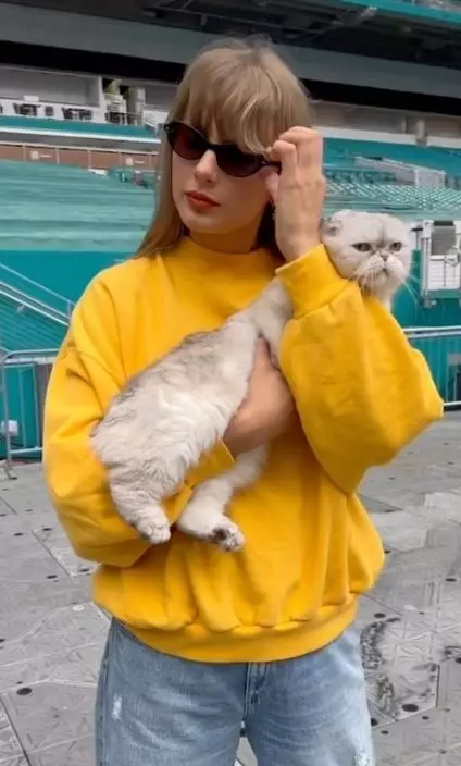 Taylor Swift效應發威!英國Z世代掀「養貓潮」, 41%年輕人家中有喵星人。IG截圖@taylorswift