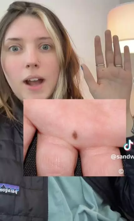 Tiktok@sandwitchbread影片截圖