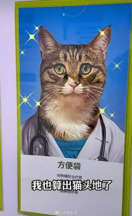 微博圖片