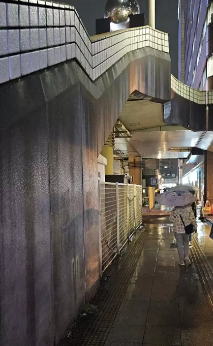 樓主原本打算回港翌日後交到樂富港鐵站報失。(FB圖片)