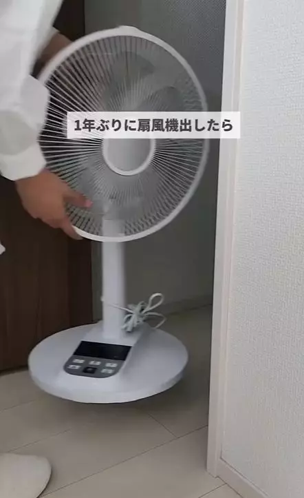 IG影片截圖yamadake_zubora