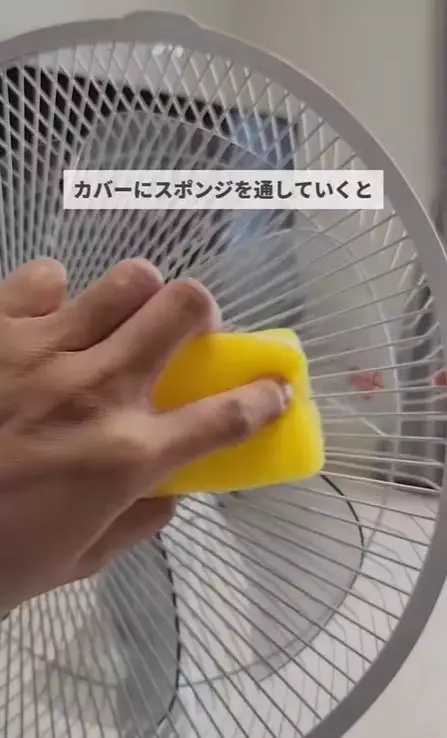 IG影片截圖yamadake_zubora
