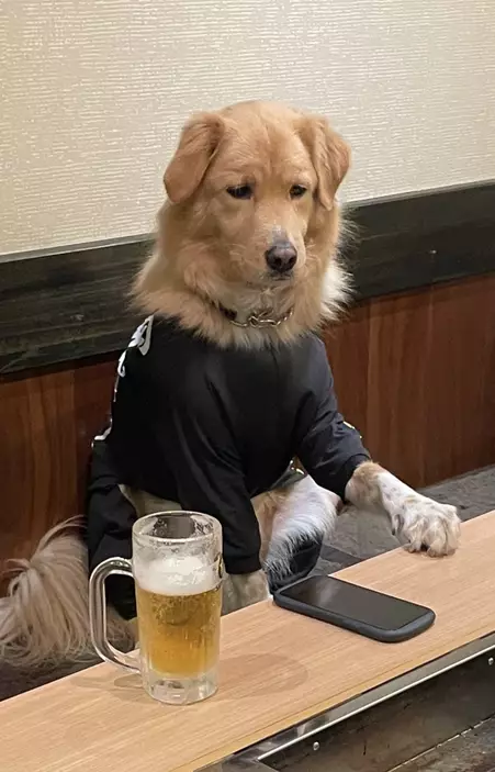 網上圖片