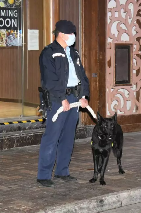 一頭警犬奉召到場。