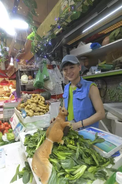 嘉俊在菜檔「一腳踢」。