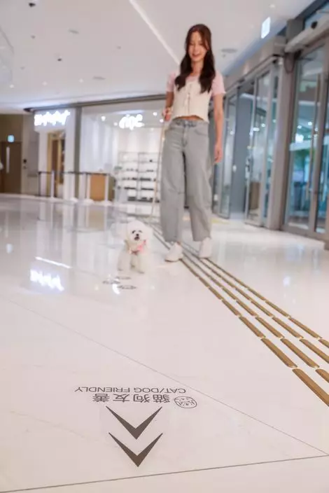 貓狗友善通道。