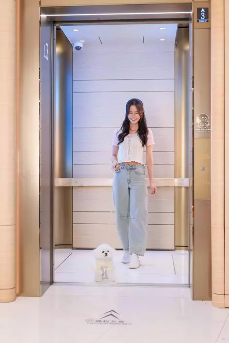 貓狗友善優先升降機。