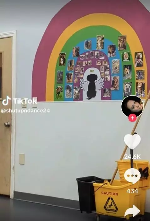 影片截圖