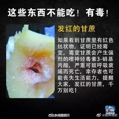 內部發紅甘蔗,嚴重可致呼吸衰竭。 網圖
