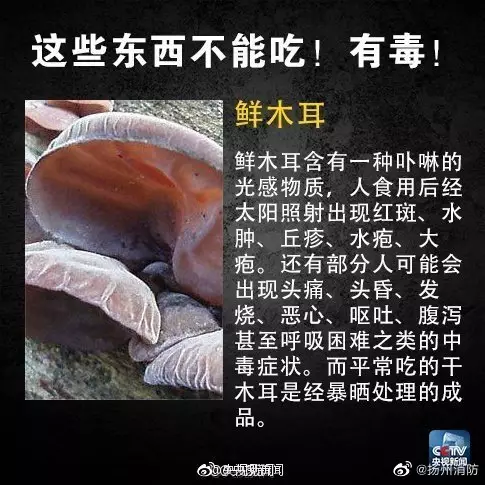 鮮木耳。網圖