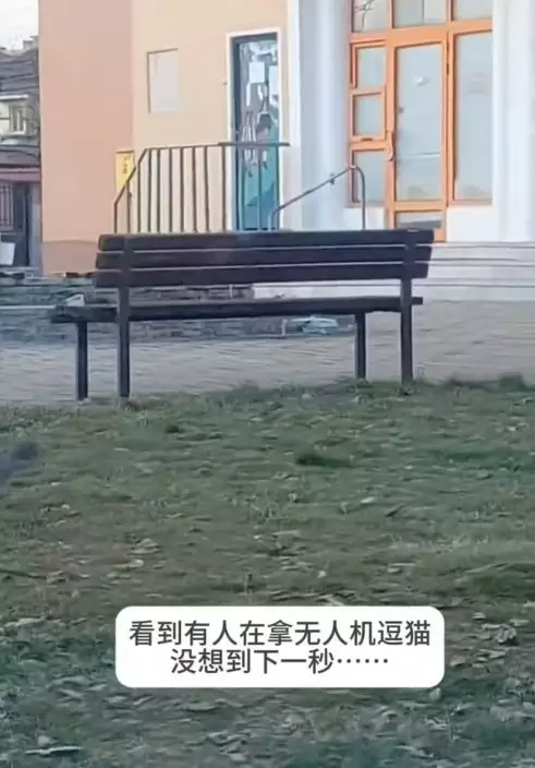 影片截圖