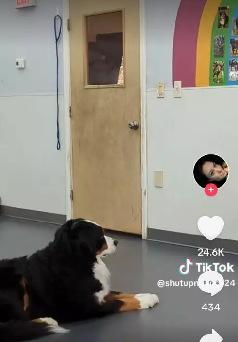 影片截圖