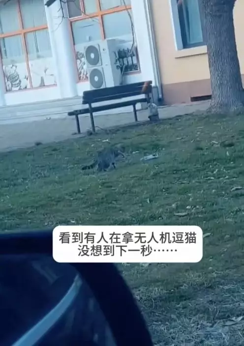 影片截圖