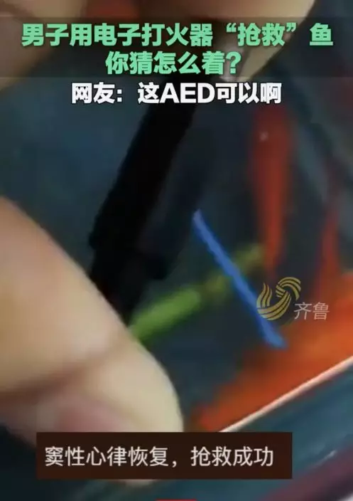影片截圖